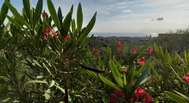 Коттедж c 1 комнатой La Rosa dei Venti a 2 km dal mare di Lavagna