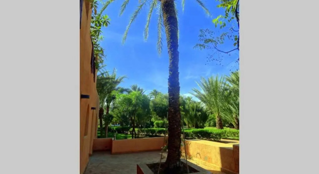 Апартаменты Le Narjis 11 Bel Appart Zen Oasis Piscine Palmeraie