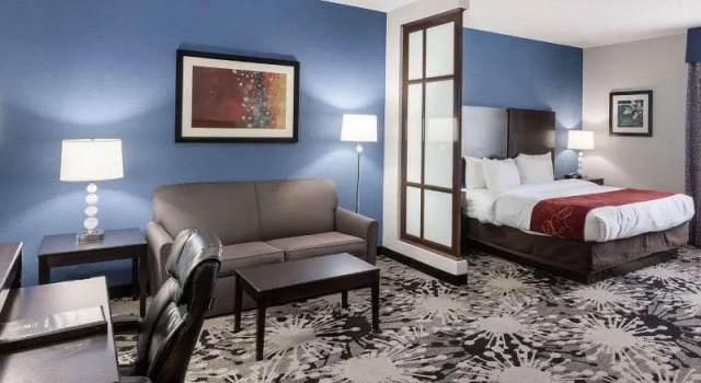 Номер Standard Comfort Suites Greenville