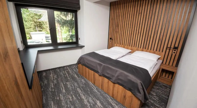 Двухместный номер Standard Hotel Kras