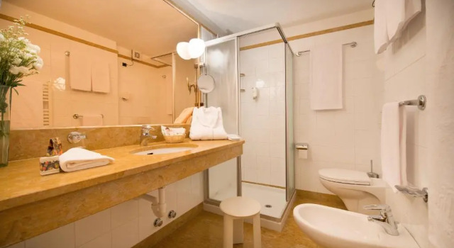 Одноместный номер Standard Hotel Baita Montana