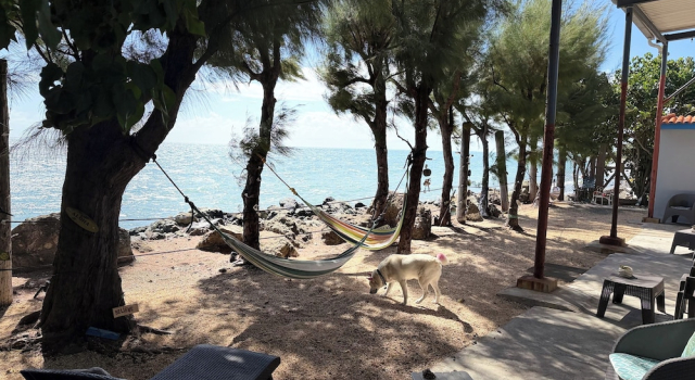 Номер Grand The Place at the Sea