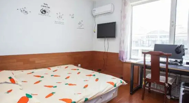 Люкс A youth hostel·B&B with sea views (Golden Beach Beer City)