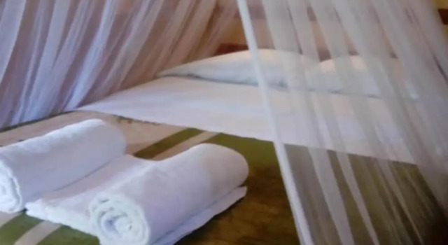 Ecohabitat, Rezervovat Hotel 3hvězdičkové hotely v Campeche, 3*