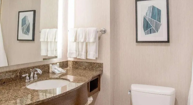 Двухместный номер Premium Hilton Garden Inn Bethesda Downtown