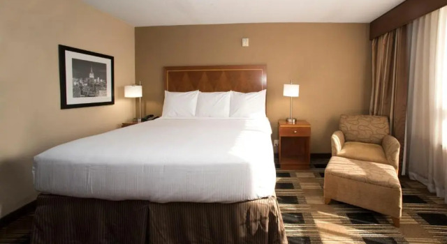 Двухместный номер Premier Hotel Executive Suites