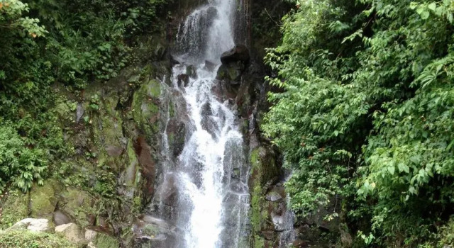 Finca Caramelo, Rezervovat Hotel Hotely v Chiriqui s parkováním, Parkování