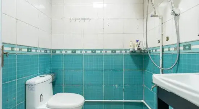 Bay Area Apartment (Gangxia North Subway Station)