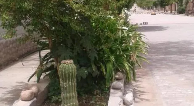 Cardones de Molinos, Prenota Hotel Molinos Salta Province