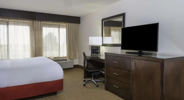 Номер Standard Radisson Hotel Colorado Springs Airport