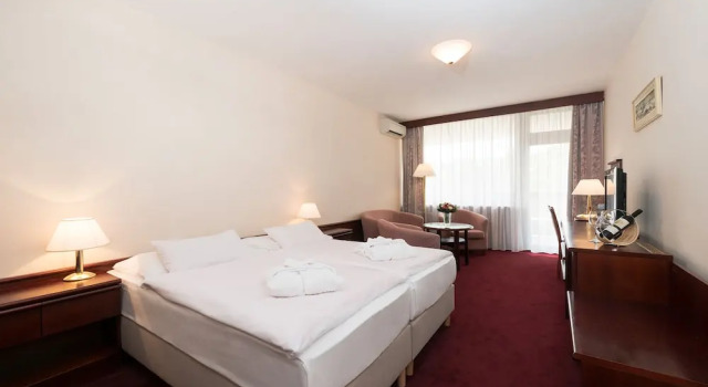 Номер Standard Ensana Esplanade