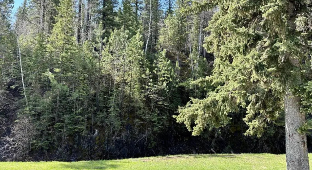 Номер Superior Whitetail Creek Camping Resort