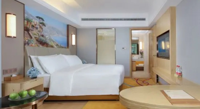 Люкс Business Vienna International Hotel (Wanzhou Gaosuntang Pedestrian Street Branch)
