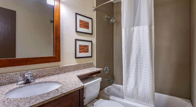 Двухместный номер Standard Comfort Inn Nashville West