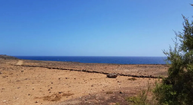 Апартаменты Costa Antigua