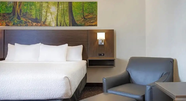 Suite Prince Albert Inn
