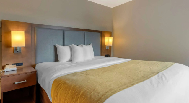 Двухместный люкс Business Comfort Inn & Suites Market - Airport
