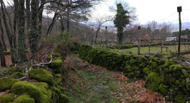 Коттедж Casa Rural Las 6 Hermanas