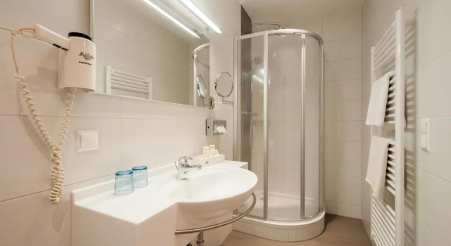 Трёхместный номер Standard Hotel Landhof Simeter GMBH