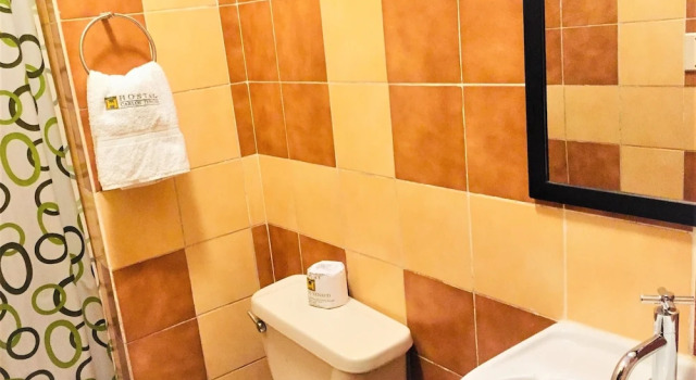 Номер Executive Hostal Carlos Tenaud