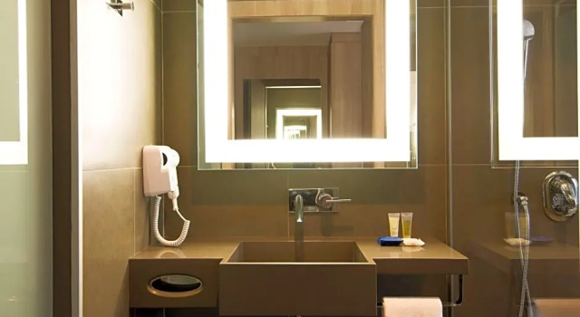 Номер Deluxe Novotel São Paulo Berrini