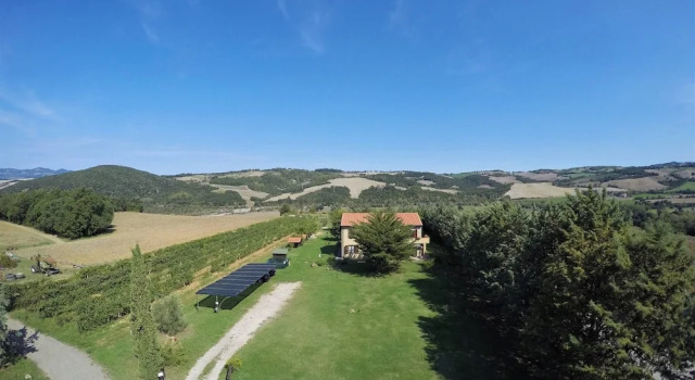Апартаменты с 2 комнатами Casa Girasole Agriturismo Le Selvole Tuscany
