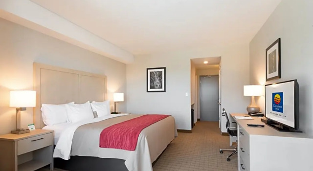Двухместный номер Standard Цокольный этаж Comfort Inn & Suites