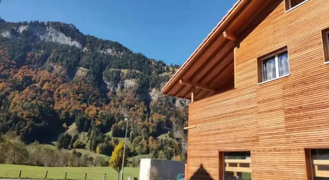 Апартаменты Mountain Oasis Apartment Kandersteg-Adelboden