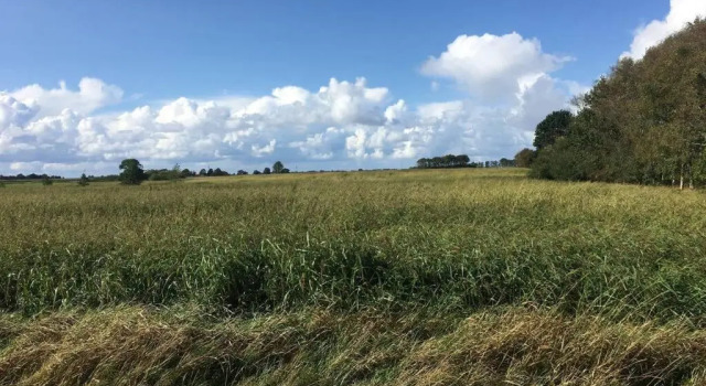Moderne Unterkunft Landzeit Esens nahe der Nordsee - ökologisch saniertes Ferienhaus
