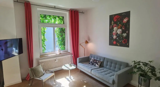 Apartments "Am Rheinorange", Netflix, Amazon Prime
