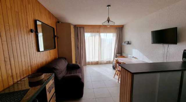Appartement Saint-Michel-de-Chaillol, 1 pièce, 4 personnes - FR-1-393-81
