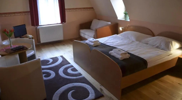 Номер Standard Hotel U Kozicky