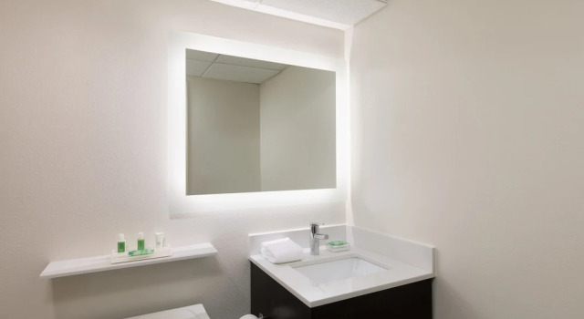 Четырёхместный номер Standard Holiday Inn Clark - Newark by IHG
