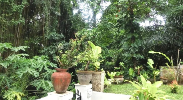Люкс Latugu Homestay Ubud