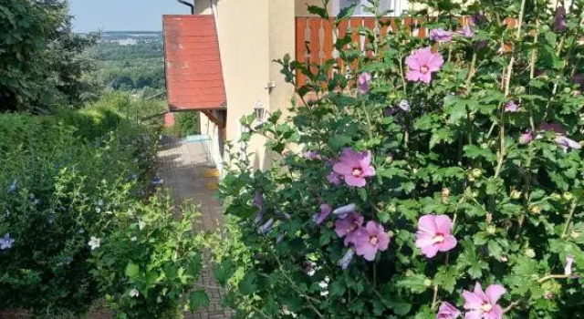 Haus Hibiskus, Book Hotel Hoteller i Western Transdanubia med parkering, Parkering