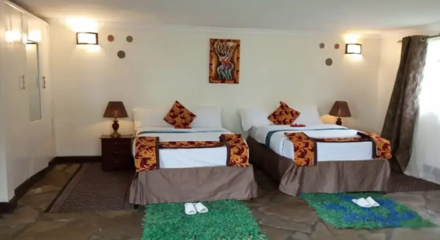 Standard double chambre Vue montagne Da Vinci Gorilla Lodge