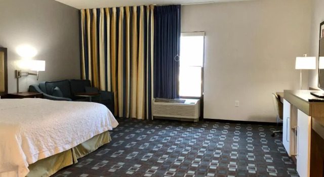 Camera doppia Deluxe Hampton Inn by Hilton Spring Hill