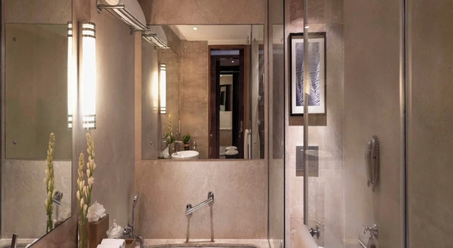 Одноместный номер Luxury Taj Coromandel