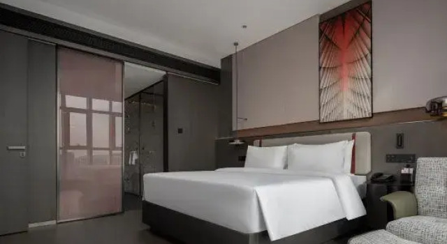 Люкс Executive Radisson RED Hefei South Railway Station
