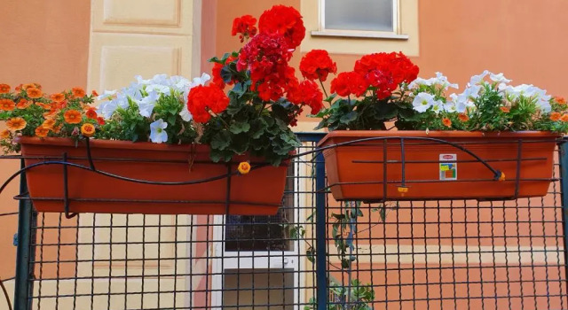 Апартаменты Open space con giardino vicino mare 010007-LT-0081