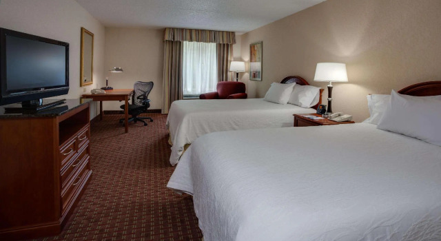 Четырёхместный номер Standard Hilton Garden Inn Cleveland Airport