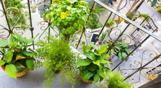 Hangzhou Yueshu Homestay (Xihu Zhejiang University)
