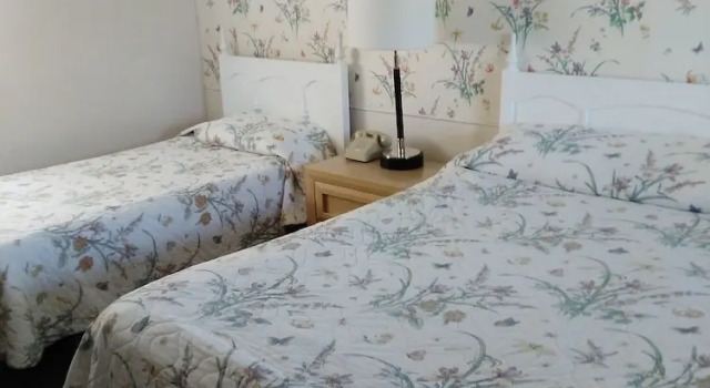 Номер Economy Northern Peaks Motor Inn