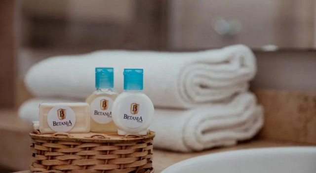Номер Standard Hotel Betania
