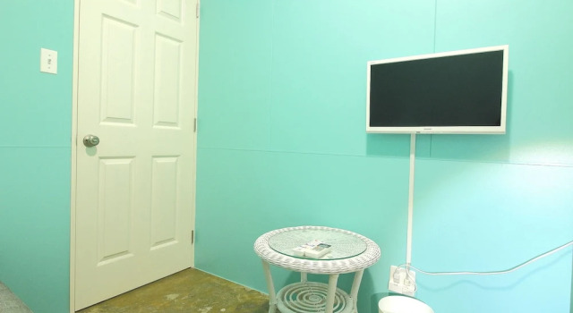 Номер Economy Seawall Hostel