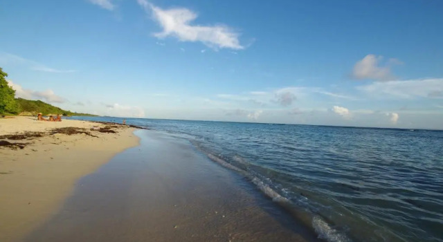 Студия Villa Coco Paradise à 800m de la mer