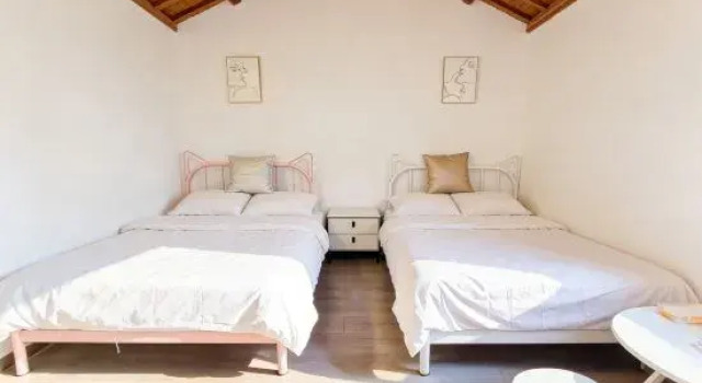 Люкс Old Western-Style Villa Suite Homestay (Shaanxi South Road)