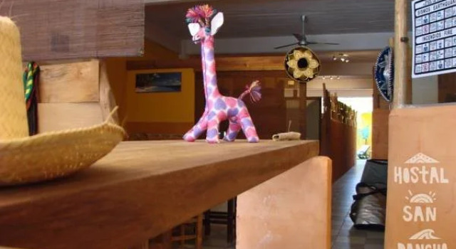 Hostal San Pancho, Book Hostel / Vandrerhjem Hostels i Nayarit, Hostel / Vandrerhjem