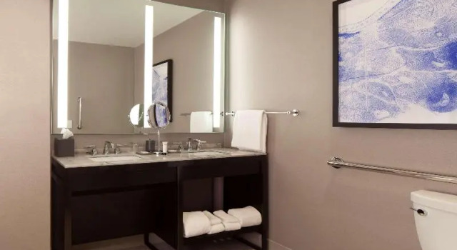 Номер Accessible Grand Hyatt Nashville