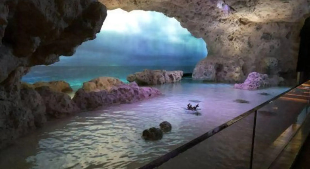 TerraceRin YN31, Buchen Sie Hotel Tomigusuku Okinawa Hontō - Süden